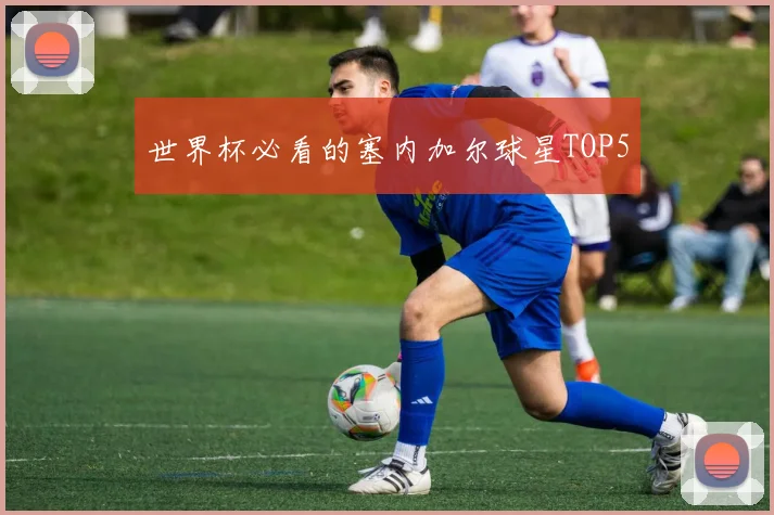 世界杯必看的塞内加尔球星TOP5