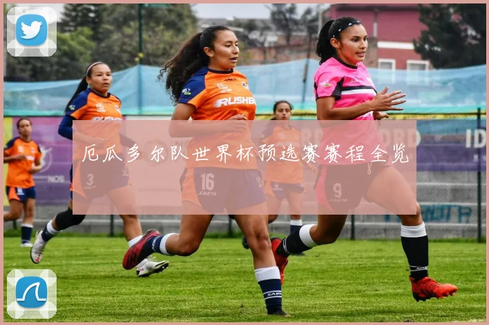 厄瓜多尔队世界杯预选赛赛程全览