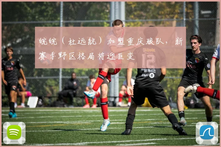 皖皖(杜远航)加盟重庆狼队,新赛季野区格局将迎巨变