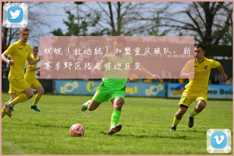皖皖（杜远航）加盟重庆狼队，新赛季野区格局将迎巨变