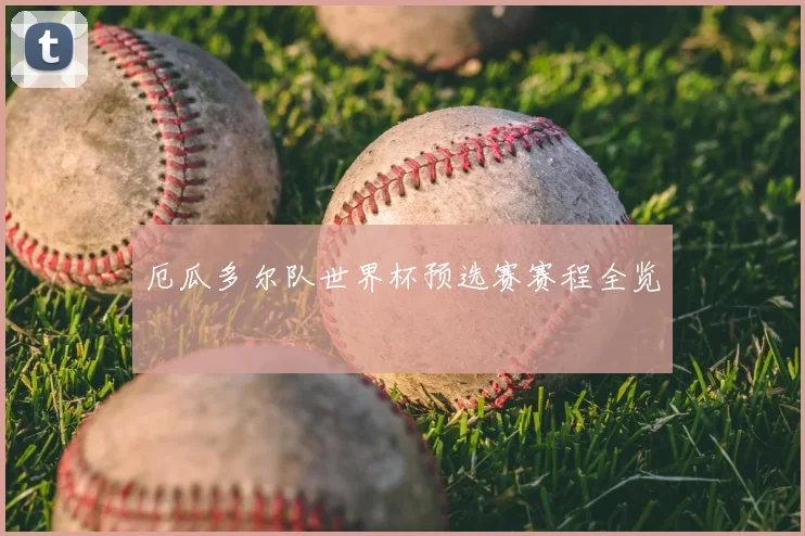 厄瓜多尔队世界杯预选赛赛程全览